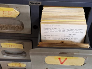 Photographie d'un casier à archives